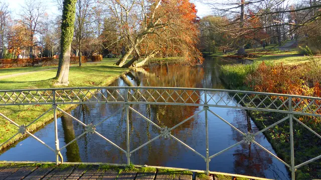 Im Schlossgarten lässt die Dezembersonne noch ein paar Bäume golden leuchten. Foto: Helmut Kuzina