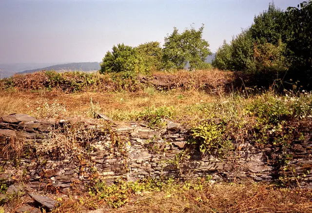 Reste der Starkenburg