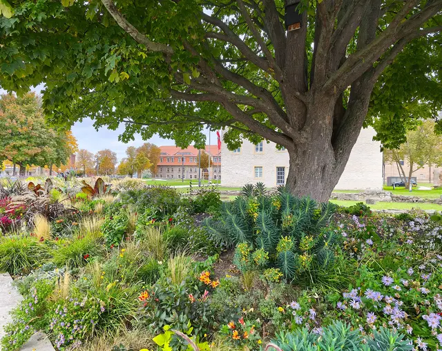 Gartenanlage an der Zitadelle | Foto: Shima Mahi