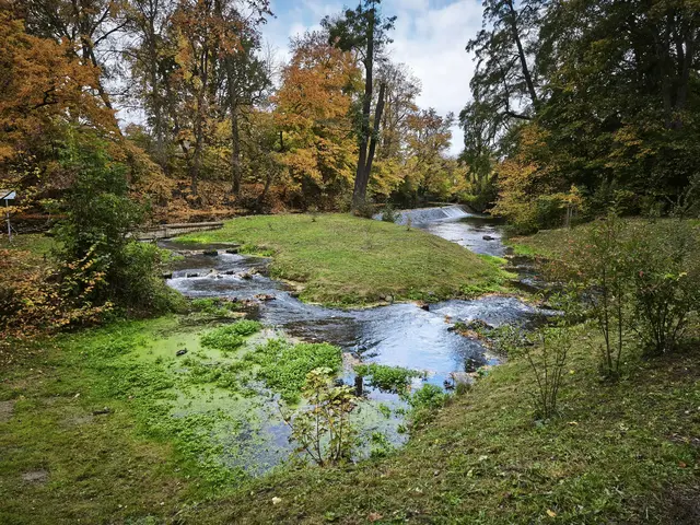 Entlang der Ilm ist ein schöner Landschaftspark angelegt. | Foto: Shima Mahi
