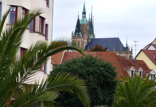 Blick auf den Dom | Foto: Shima Mahi