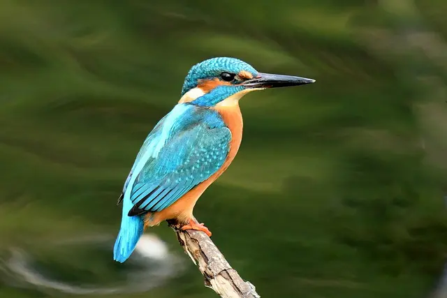 Foto: Copyright Andreas Schäfer