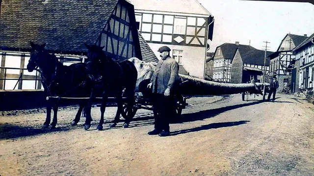 Um 1900 - Anlieferung eines Holzstammes zum Sägewerk in Hatzfeld