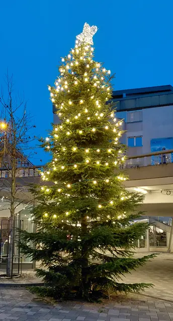 Der Weihnachtsbaum 2025 im sogenannten "Loch" der Korbacher Fußgängerzöne (am 05.12.2025 gegen 7.50 Uhr fotografiert). | Foto: M. A..