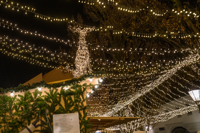 54. Karitativer Friedberger Christkindlmarkt 2025 | Foto: FSeventfoto