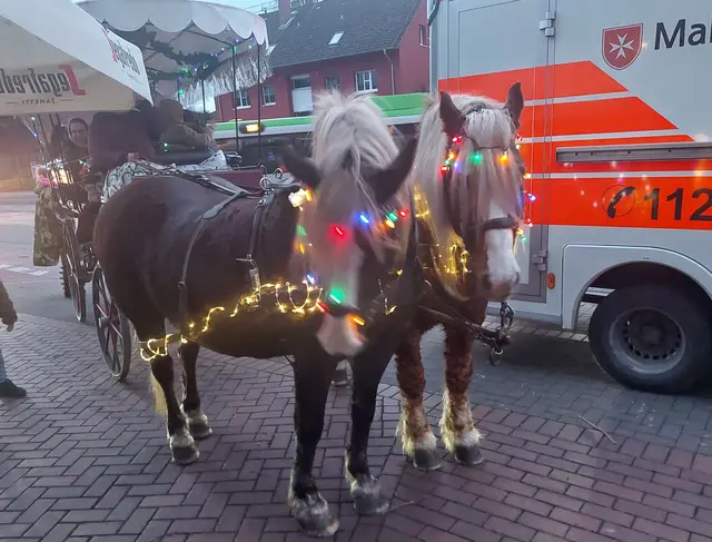 Kutschfahrten für Klein und Groß...