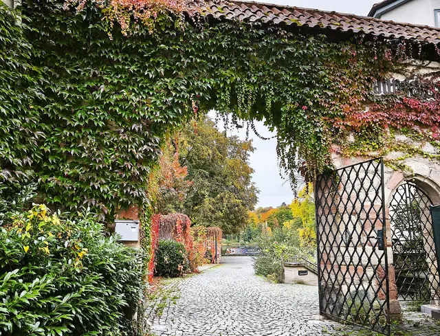 Durch dieses schöne Tor geht es in den Kurpark von Bad Salzungen. | Foto: Shima Mahi
