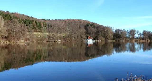 Und auf einmal befinden wir uns im warmen Frühling!!!