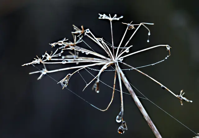 Ein paar Stillleben am Rand des Rundwegs