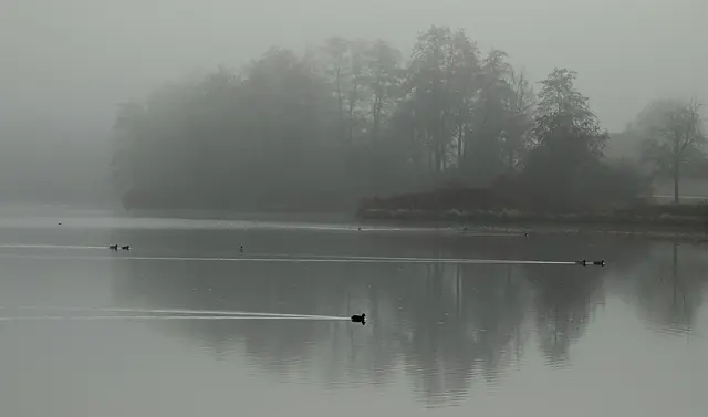 Nach und nach gelingen zumindest die ersten "belebten" Bilder