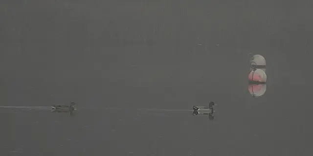 Die lange Brennweite verdichtet den Schleier