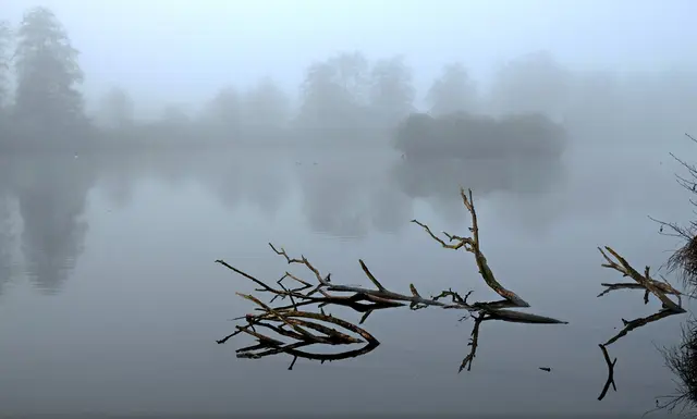 In den ersten beiden Stunden sehe ich kaum bis zur Insel