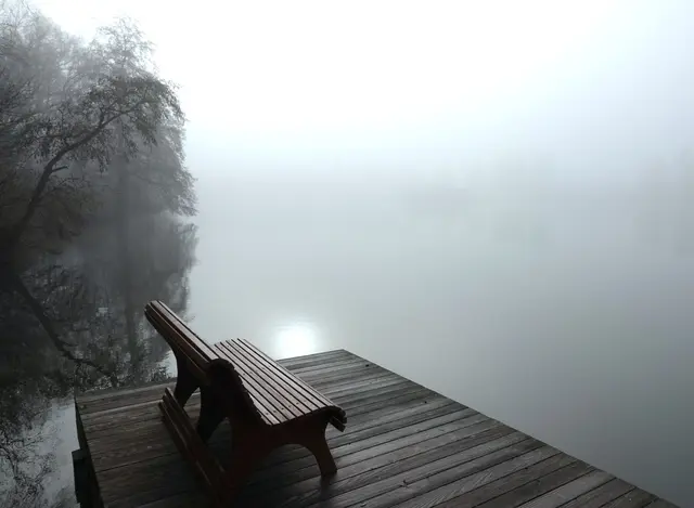 Von hier aus überblicke ich sonst das ganze Gewässer