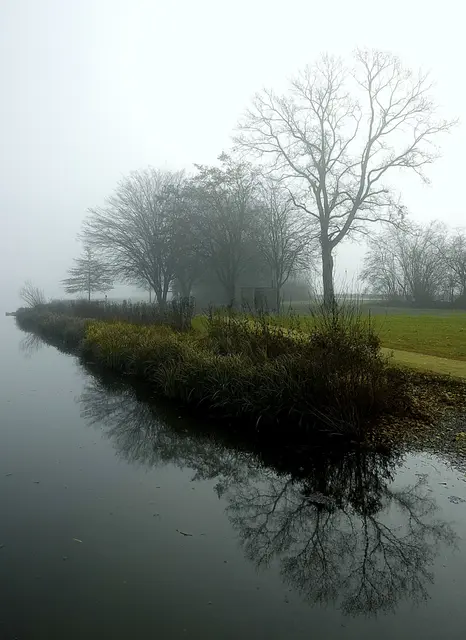 Dann dringen erste Sonnenstrahlen durch den Schleier