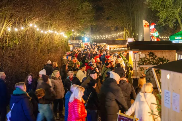 Foto: Jan Koenen - Stadt Dillingen