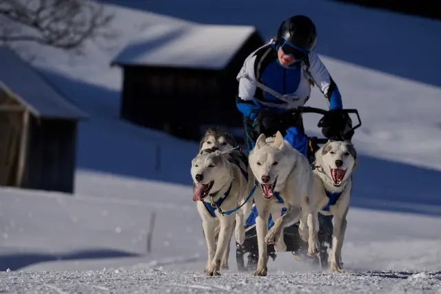 Foto: Stefan Willers