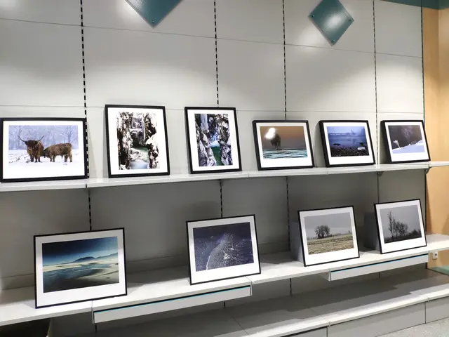 Wertinger Nacht-Fotoausstellung | Foto: Anita Dieminger