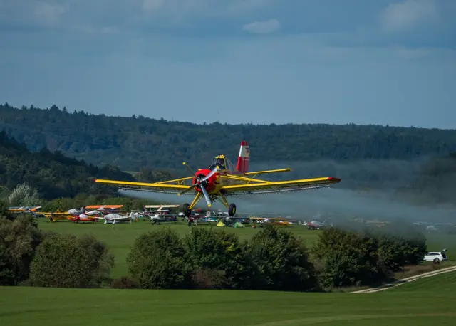 Foto: Anita Dieminger