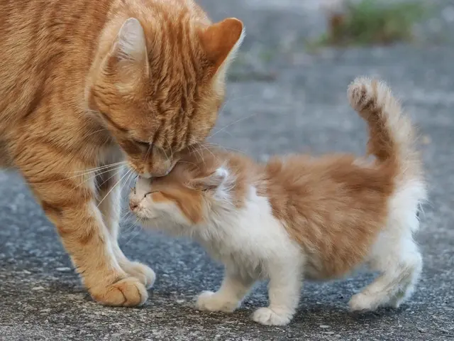 Foto: Anita Dieminger