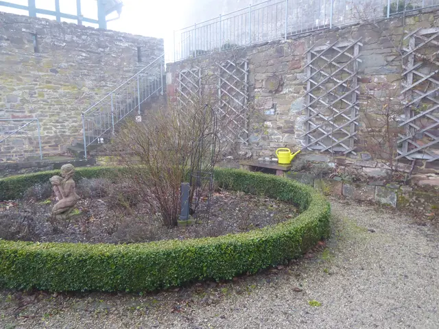 Rosengarten 2025-50, 14.12.2025.