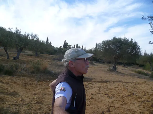 Reste von Olivenplantagen in Port El Kantaoui.
