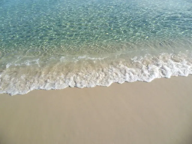 Glasklares Wasser bei Ebbe.
