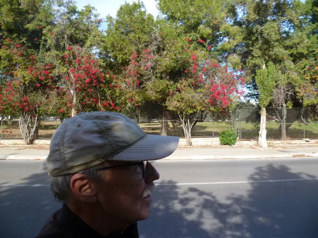 Unterwegs auf den Straßen von El Kantaoui. Die Blütenpracht ist Mitte Dezember noch erstaunlich.