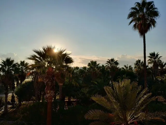 Erster Blick am Abreisetag am frühen Morgen vom Balkon aus in Richtung Meer. - Es war ein schöner Urlaub.  
