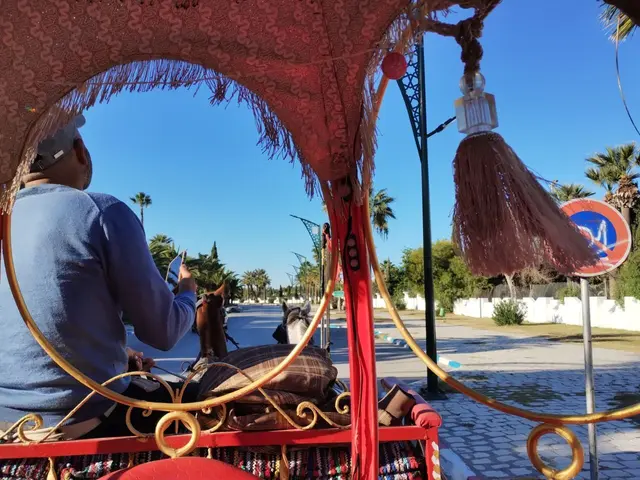 Rundfahrt mit der Pferdekutsche. Ein nettes Erlebnis.
