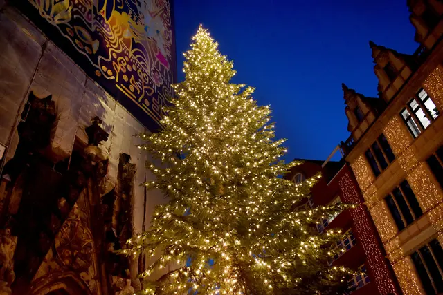 Der Weihnachtsbaum an der Marktkirche