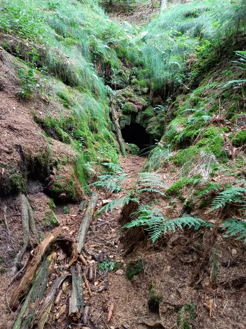 Ein Stollenmundloch im Deister ein Versteck ?? | Foto: Winfried Gehrke