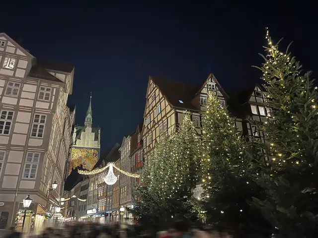 Kramerstraße mit dem Wünschebrunnenwald rechts