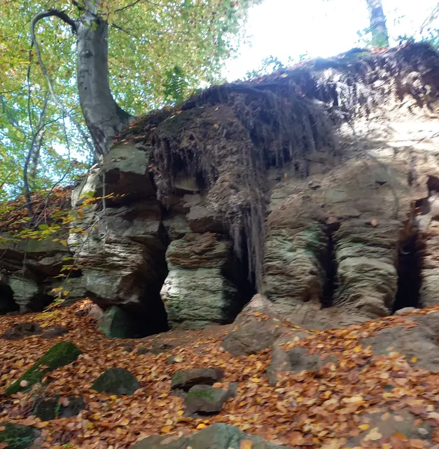 Fuchs und Dachshöhlen im Deister | Foto: Winfried Gehrke