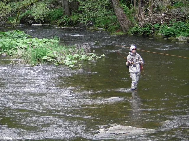 FLUSS IN DER EIFEL
Gudrun - 1 Punkt - Rur