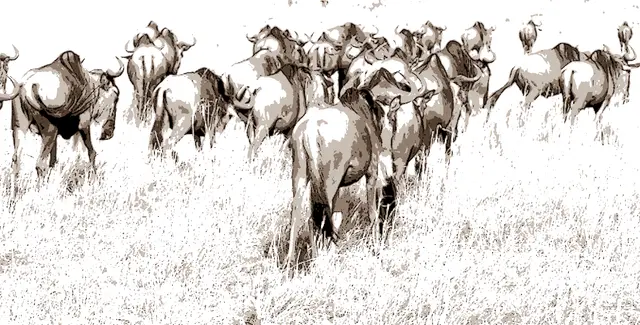 HINTERLASSENSCHAFT DER TIERE
Eugen - 1 Punkt - Gnudung