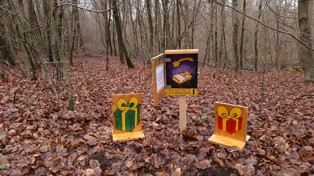 Was schenkst Du zu Weihnachten? | Foto: Mechthild Klenner