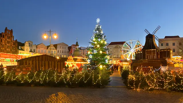 Die 14 m hohe Nordmanntanne ist ein Highlight auf dem Weihnachtsmarkt. Foto: Helmut Kuzina