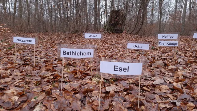 Erzähle die Weihnachtsgeschichte | Foto: Mechthild Klenner