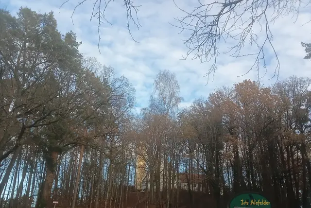 Hier schimmert die Kirche etwas durch. | Foto: Iris Alefelder