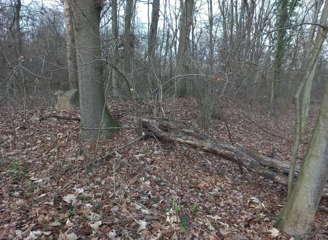Nur schwer zu erkennen: Der flache Wall