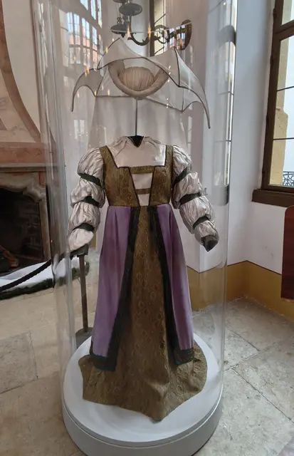 Ballkleid der Stiefmutter