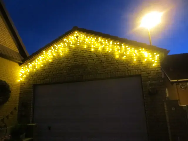 Goldregen | Foto: Das sind meine Bilder