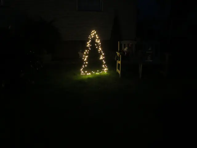 Nicht so üppig | Foto: Das sind meine Bilder