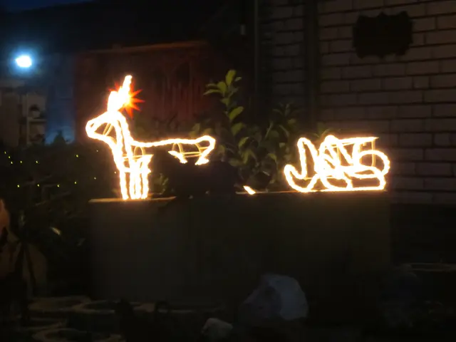 Ein Reh mit Schlitten | Foto: Das sind meine Bilder