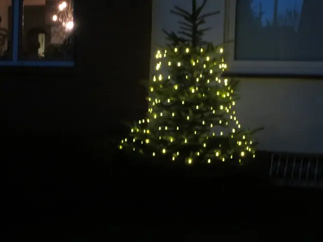 Bis zur Spitze hat es nicht gereicht. | Foto: Das sind meine Bilder