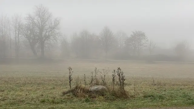 Der Dezember zeigt sich in Nordwestmecklenburg durch sein Grau in Grau von einer stillen Seite: unspektakulär, beinahe meditativ. Foto: Helmut Kuzina