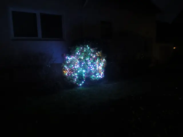 Blinkte in verschiedenen Farben | Foto: Das sind meine Bilder