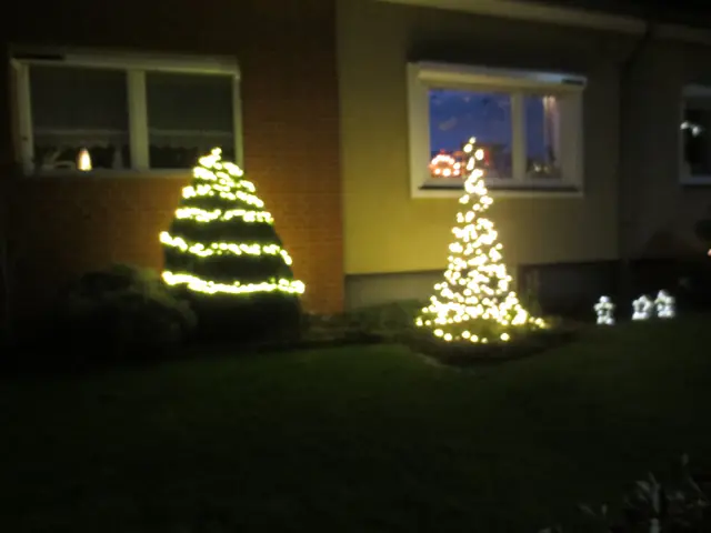 Gleich zwei zusammen | Foto: Das sind meine Bilder