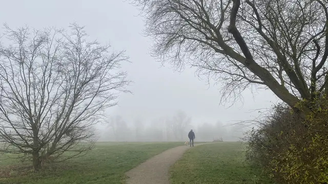 Nebel liegt über der Hügellandschaft westlich von Wismar. Foto: Helmut Kuzina