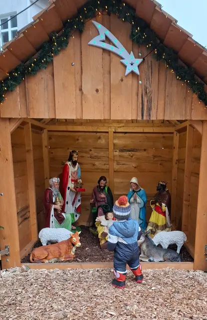 Ausschnitt aus dem Original-Foto, das ich am 12.12.2025 gemacht habe. | Foto: M. A.